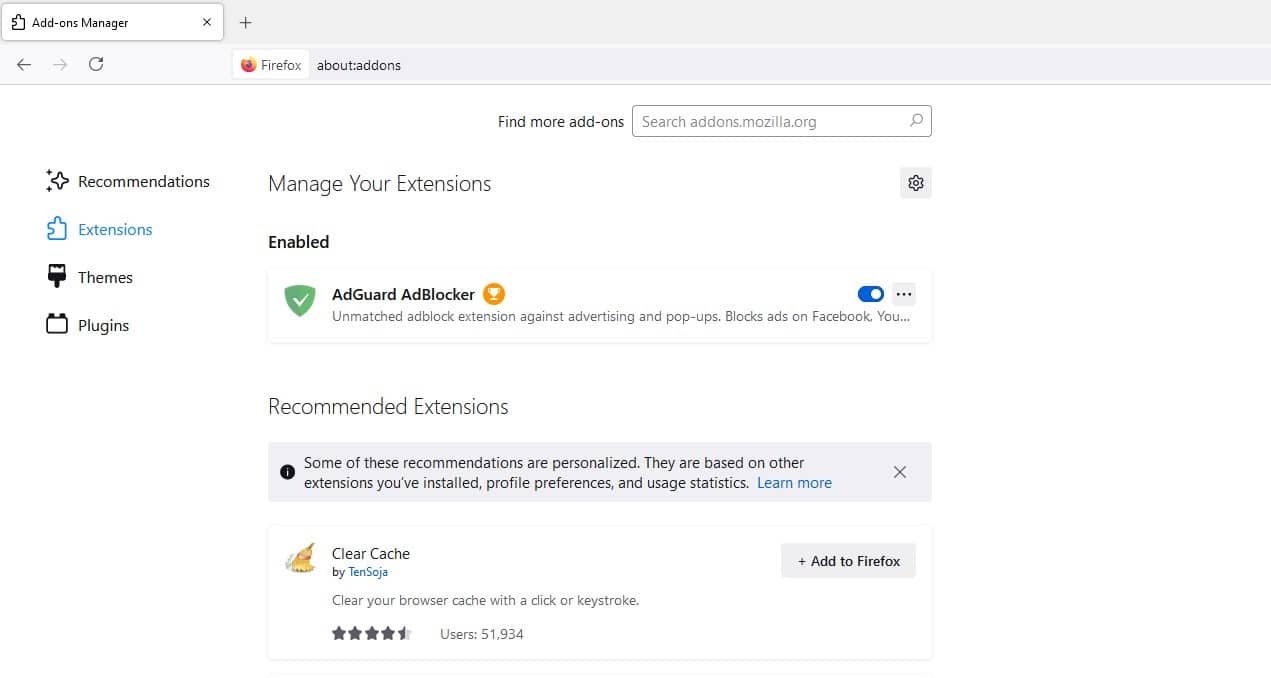 Schermata della scheda Estensioni in Firefox.