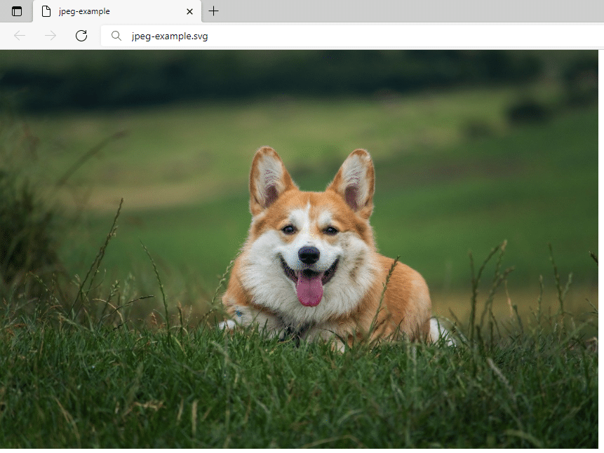 Öffne eine SVG-Datei mit einem Browser