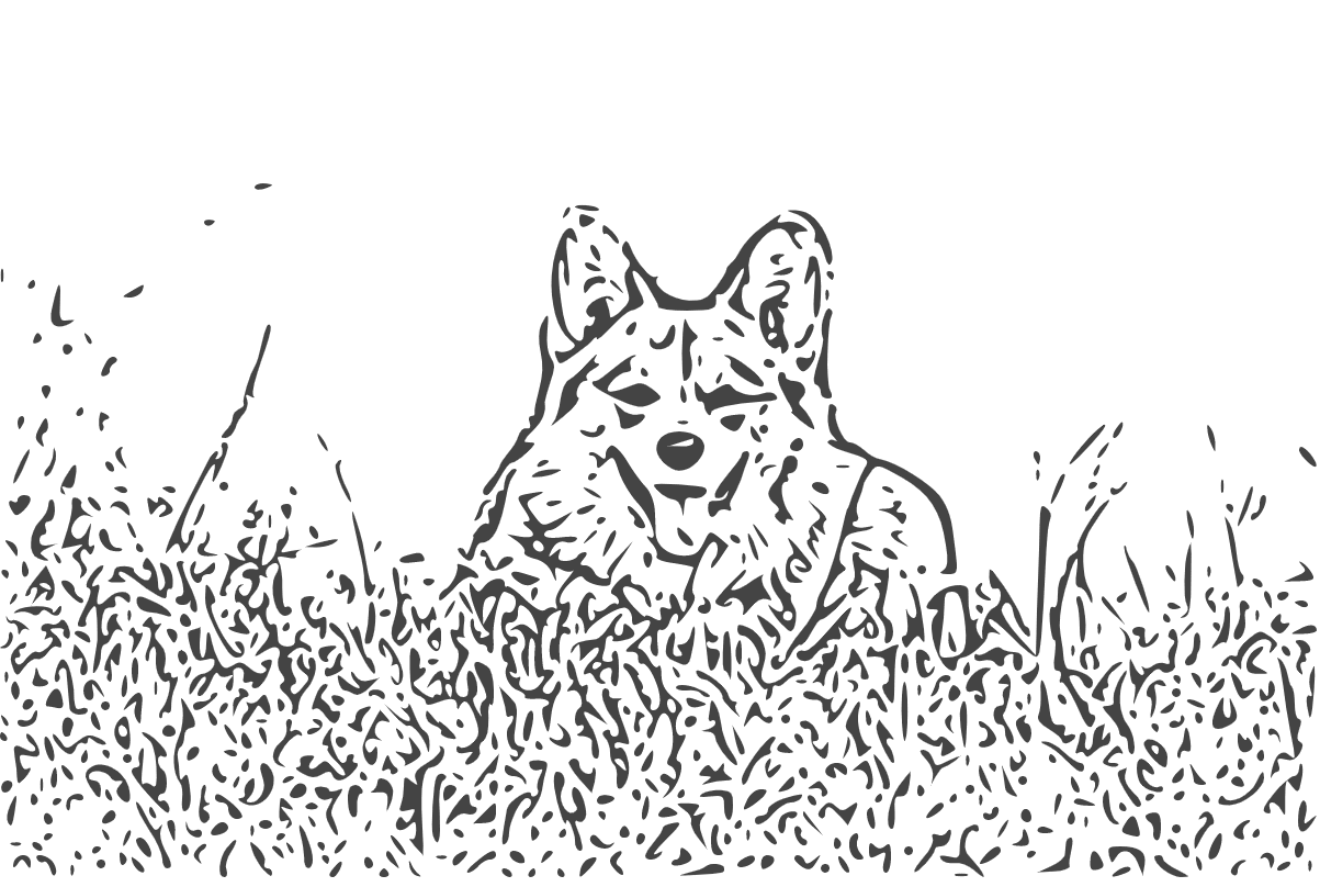 JPEG in SVG umgewandelt