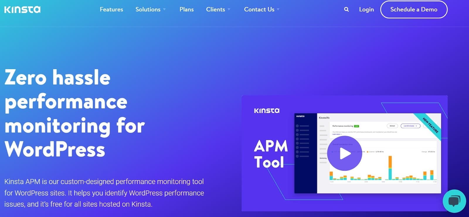 Kinsta APM