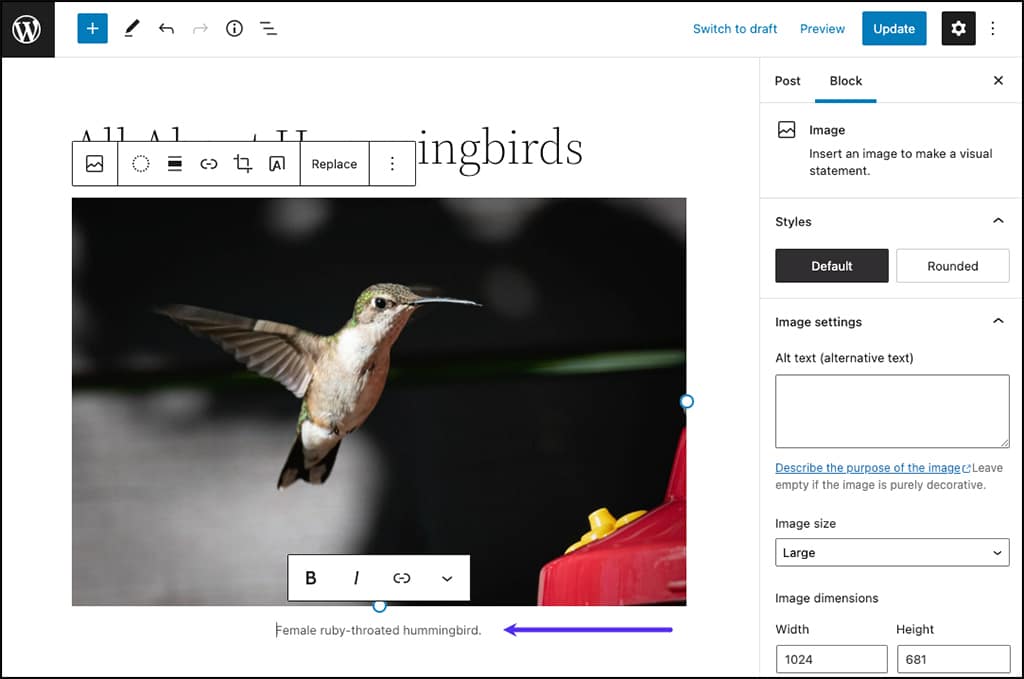 Un esempio di didascalia di un'immagine visualizzata nell'editor di blocchi di WordPress.
