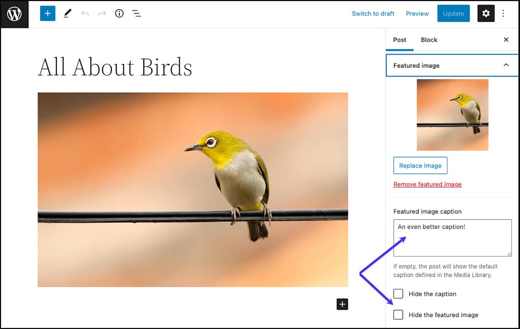 Schermata con i campi extra aggiunti dal plugin FSM Custom Featured Image Caption.