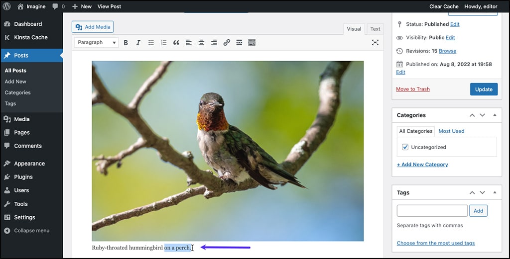 Schermata dell’editor classico di WordPress con un’immagine caricate: potete modificare la didascalia esistente come un normale testo.