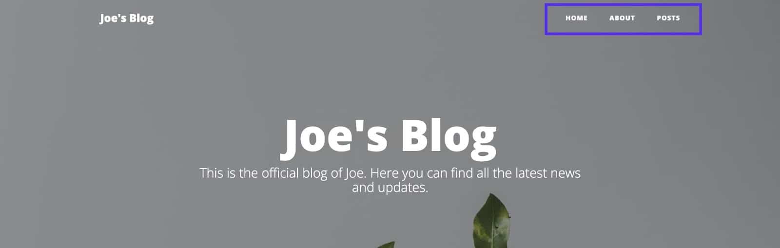 Volledig aangepaste navigatiebalk