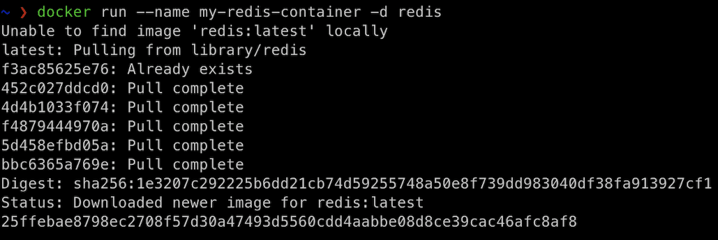 Docker Hubからの操作(Redisイメージの名前にはmy-redis-containerを採用)