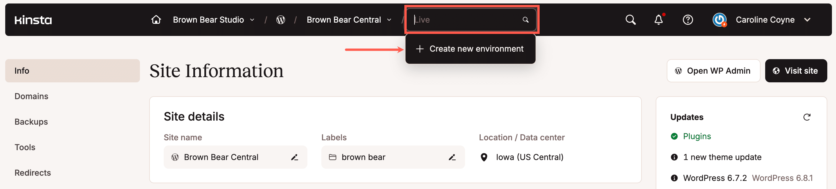 Crear nuevo entorno en MyKinsta