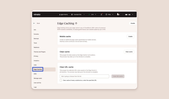 Kinsta's integrierte Seiten-Caching-Lösung.
