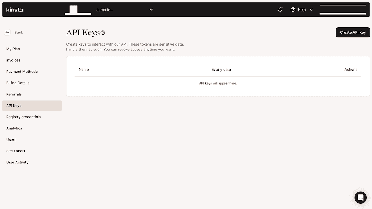 A tela Chaves de API no painel MyKinsta.