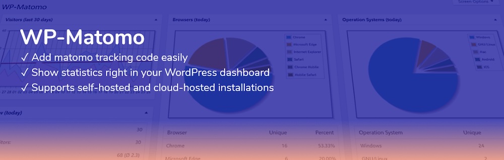 O plugin Connect Matomo é útil para instalações locais.