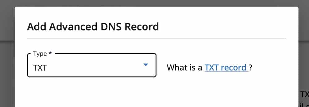 Sélectionnez l'enregistrement TXT.