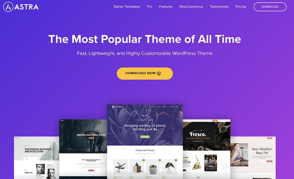 Page d'accueil du thème Astra