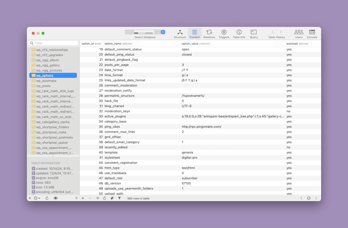 Die SequelAce-Datenbank-Verwaltungsschnittstelle zeigt die Tabelle wp_options aus einer WordPress-Installation. Die Tabelle enthält Systemkonfigurationseinstellungen mit Spalten für option_id, option_name und option_value. Es sind verschiedene WordPress-Einstellungen sichtbar, darunter der Standard-Kommentarstatus, Ping-Einstellungen, Datumsformate und Vorlagenkonfigurationen.