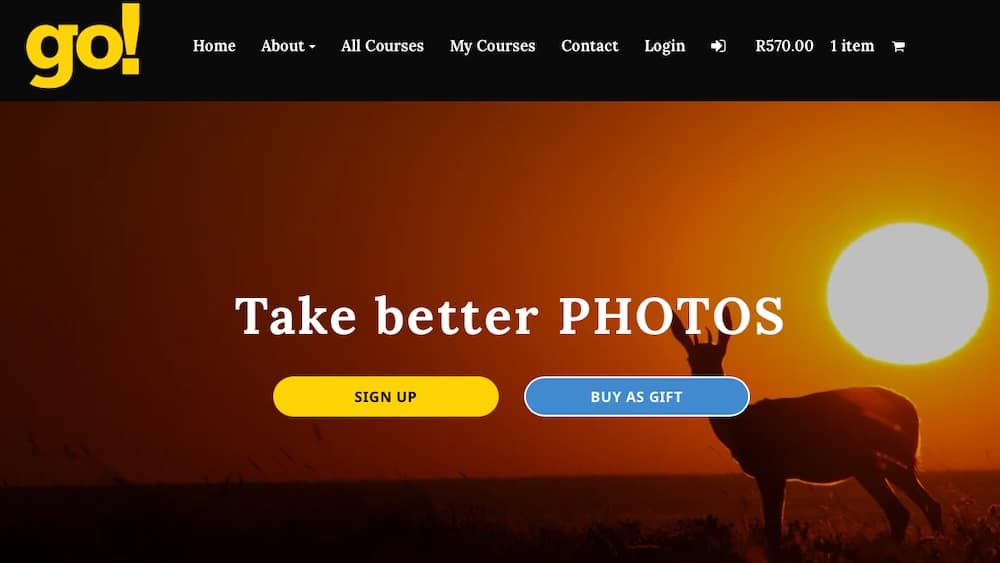 Screen shot from the go! Take Better Photos website.