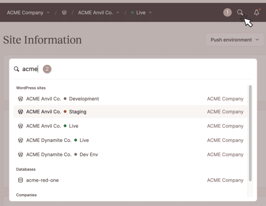 Screenshot showing the 'Jump to or search' dialog in MyKinsta.