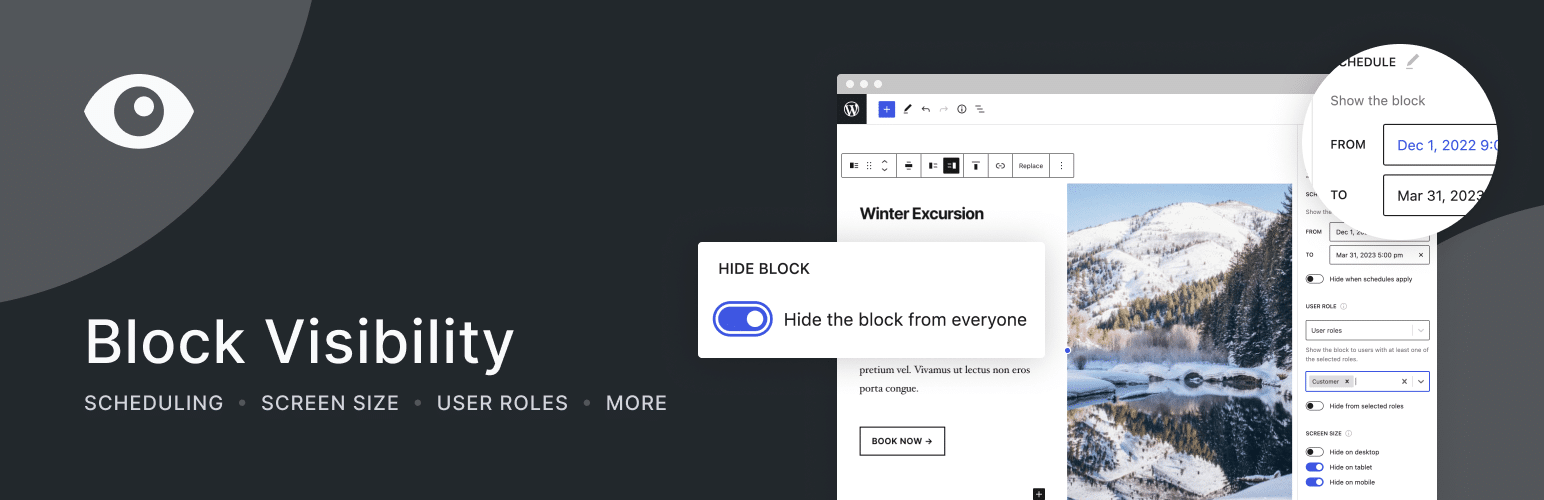 Hero banner del plugin Block Visibility.