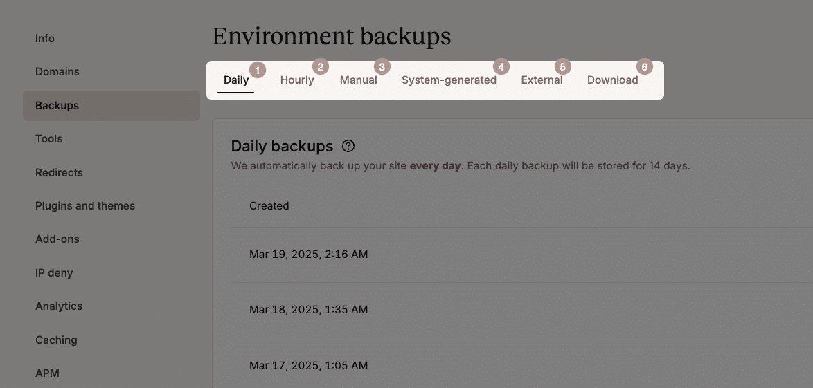 Backups no MyKinsta.