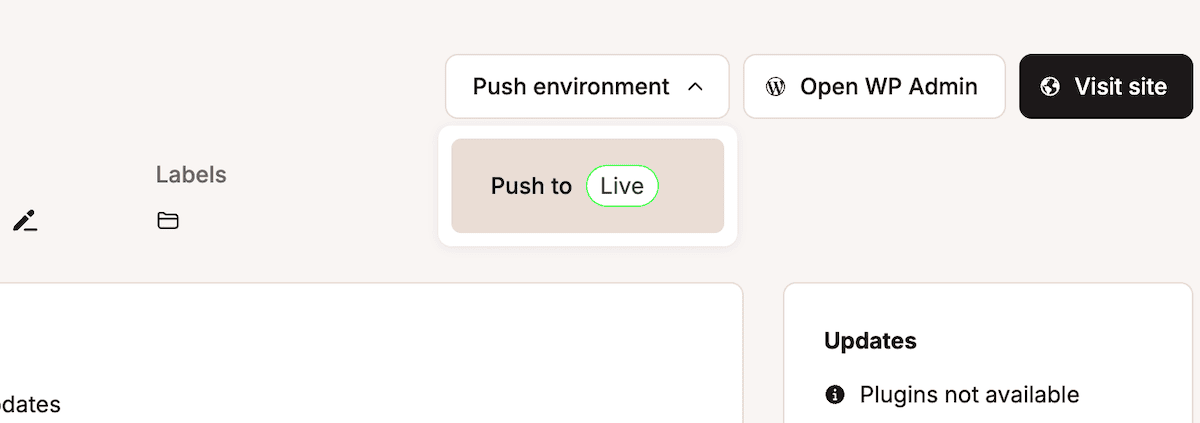 La interfaz de MyKinsta muestra los botones Enviar entorno, Abrir WP Admin y Visitar sitio en la parte superior. Debajo hay una sección beige con el texto Enviar a producción y un botón verde con forma de pastilla etiquetado como Producción. La interfaz también muestra una sección para Actualizaciones.