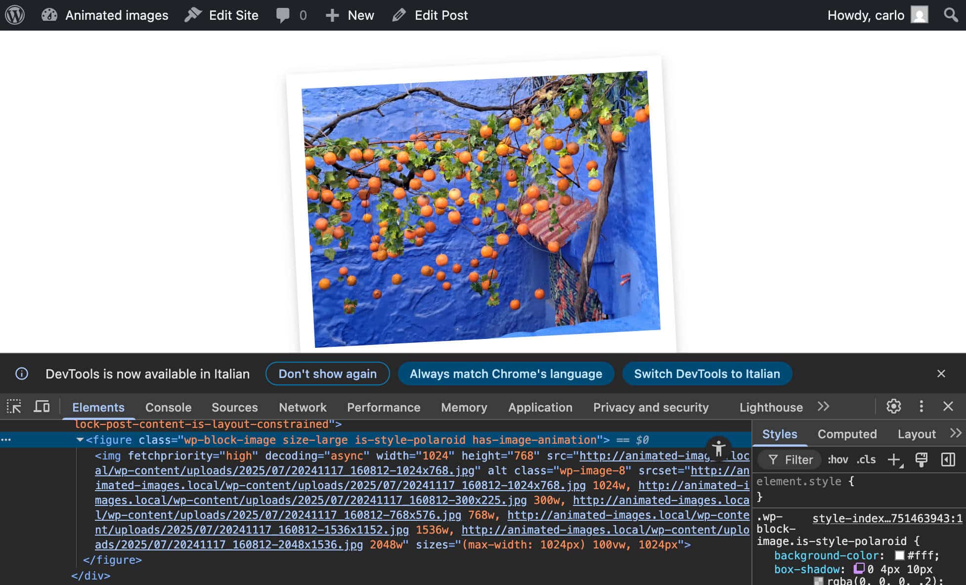 clases CSS is_style_polaroid y has_image_animation añadidas al bloque Imagen
