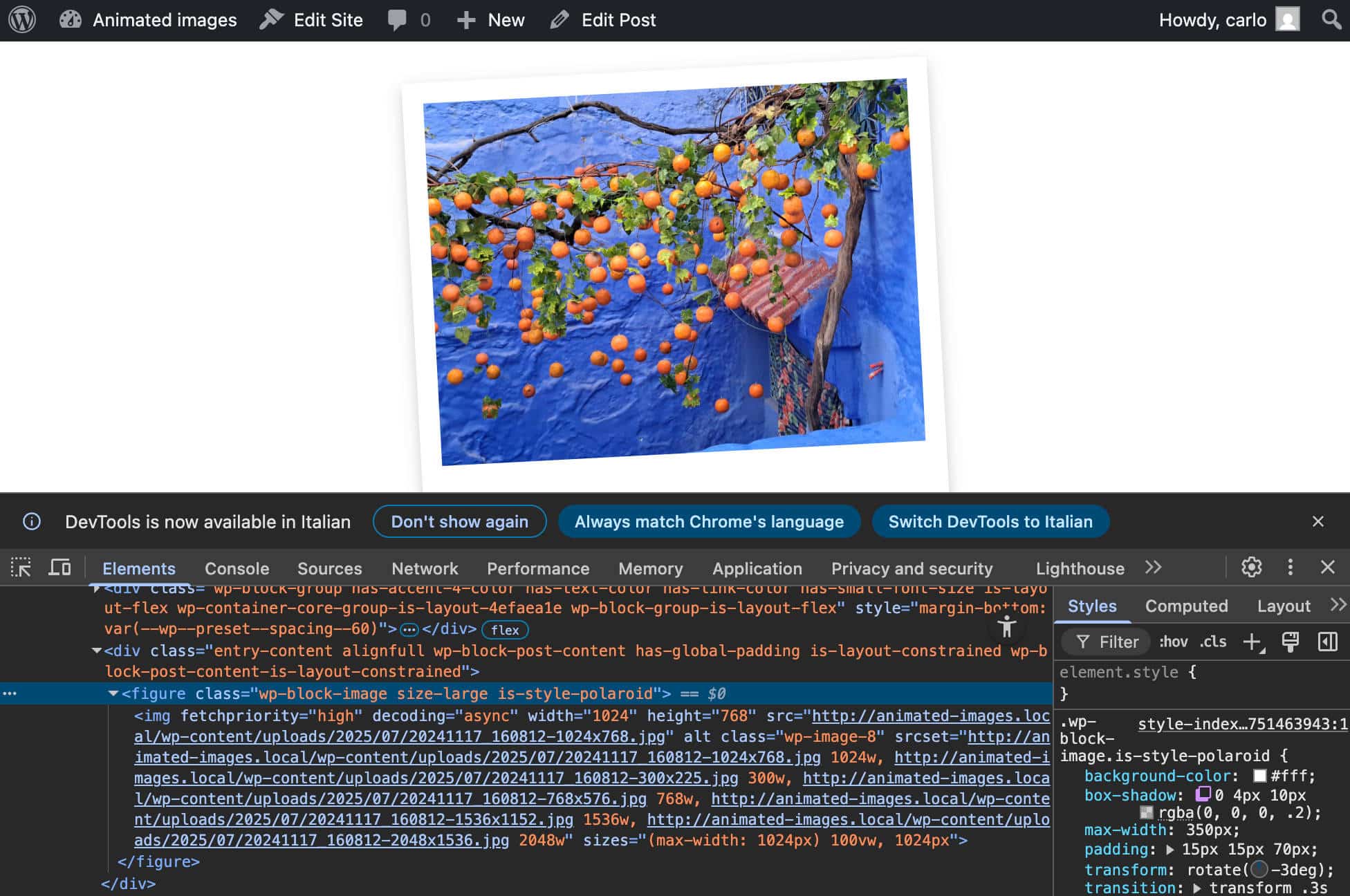 El elemento figura con la clase is_style_polaroid