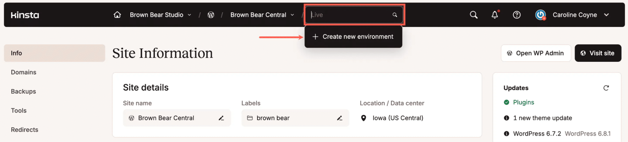 Staging-Umgebung in MyKinsta