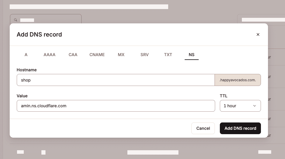 Modulo per aggiungere un nuovo record NS nelle impostazioni dei DNS di MyKinsta.