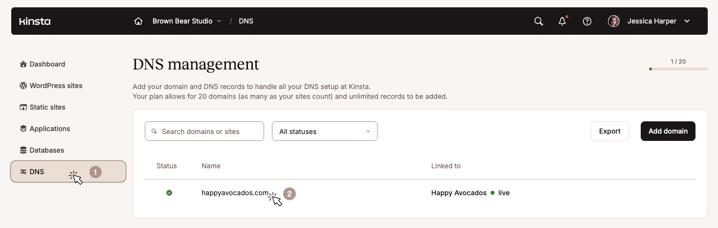 Accesso alla sezione di gestione DNS nella dashboard di MyKinsta.