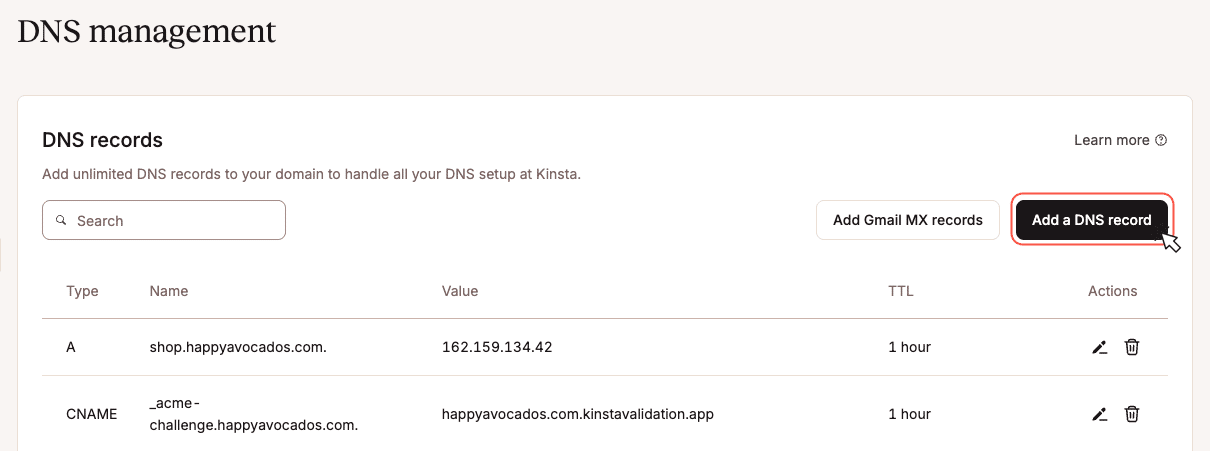 Panoramica dei record DNS in MyKinsta.