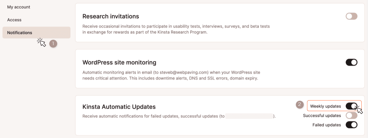 Abilitazione di un riepilogo settimanale per gli Aggiornamenti Automatici di Kinsta.