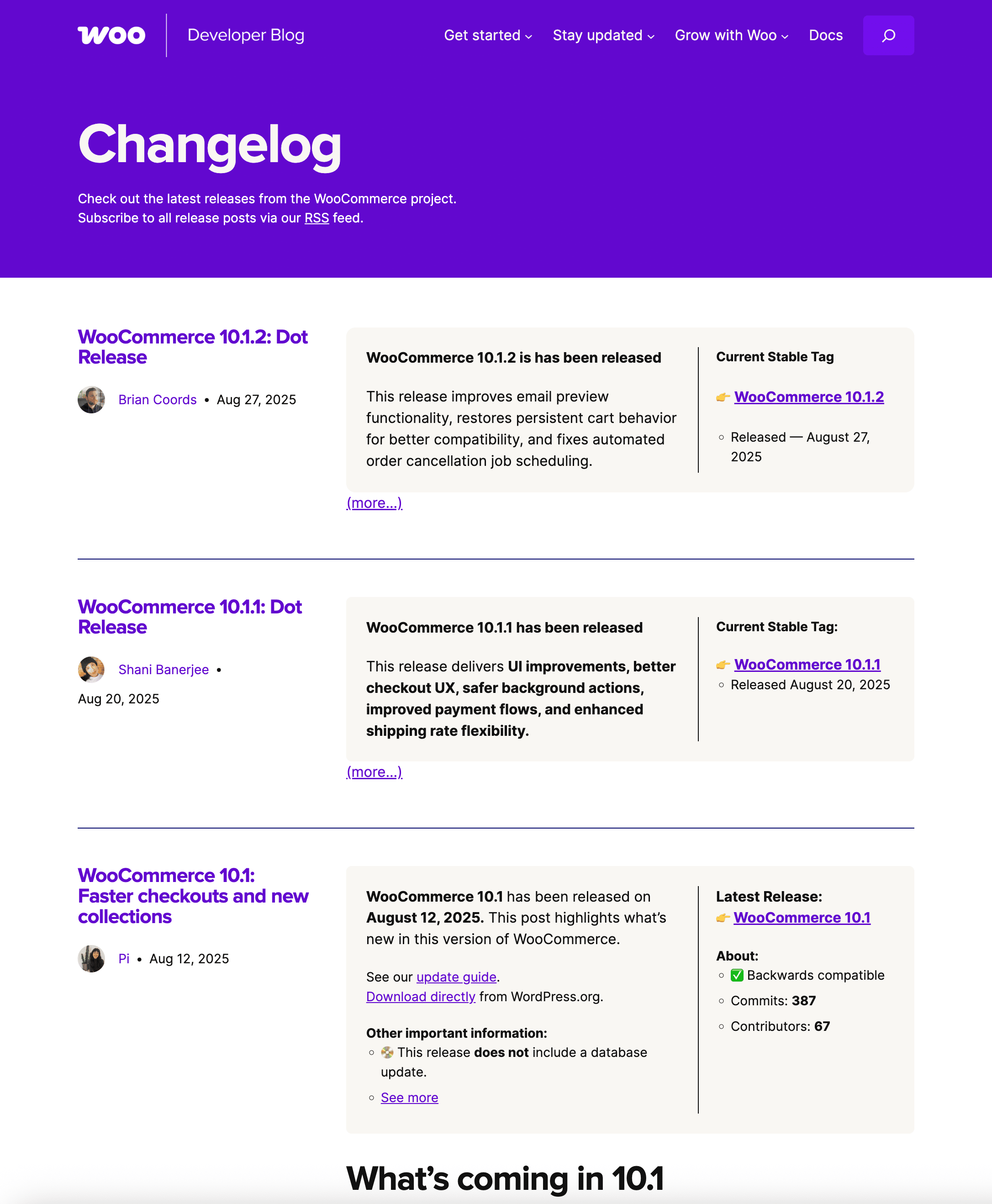 Página de historial de cambios de WooCommerce