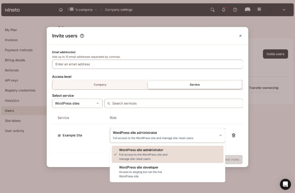 Uno screenshot dei controlli di accesso utente di Kinsta