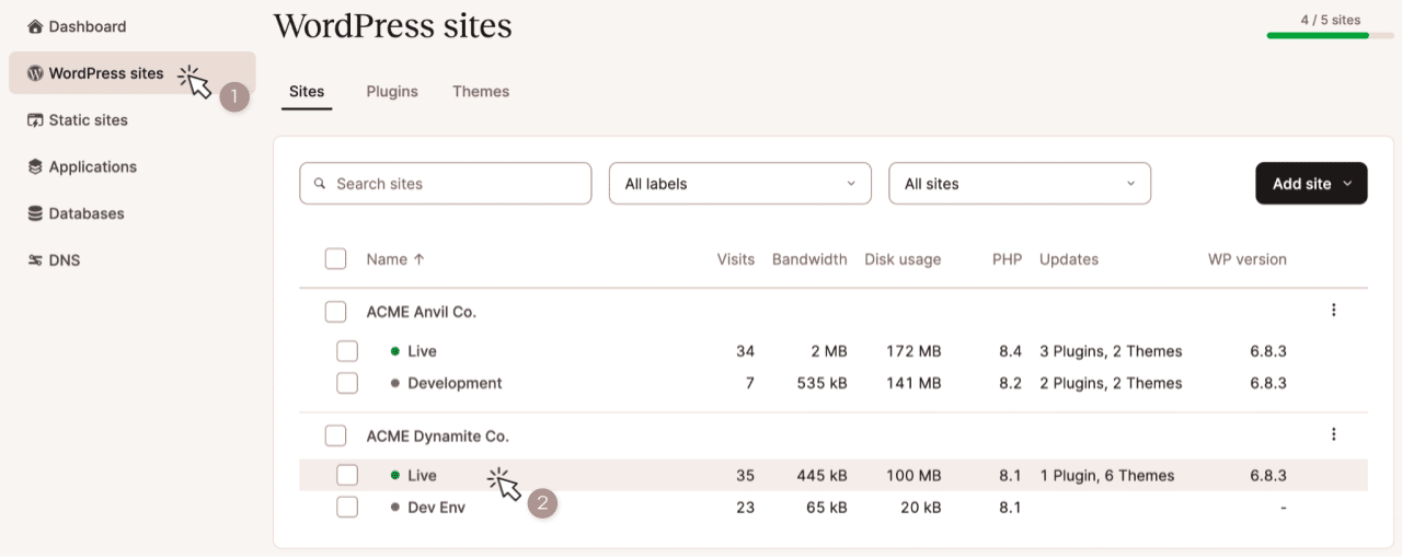 Captura de tela mostrando a seleção de um ambiente de site na página WordPress Sites do MyKinsta.