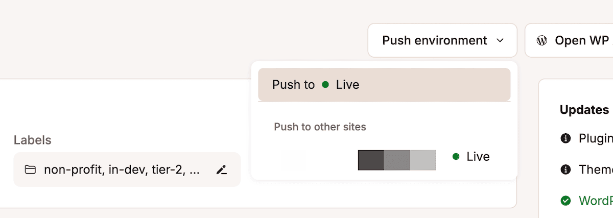 The Push environment drop-down menu for a site within the MyKinsta dashboard. It shows two options: either Push to Live or a selection for pushing to other sites.