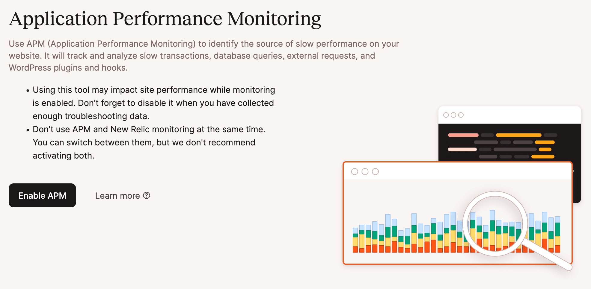 Activar la herramienta Kinsta APM en MyKinsta