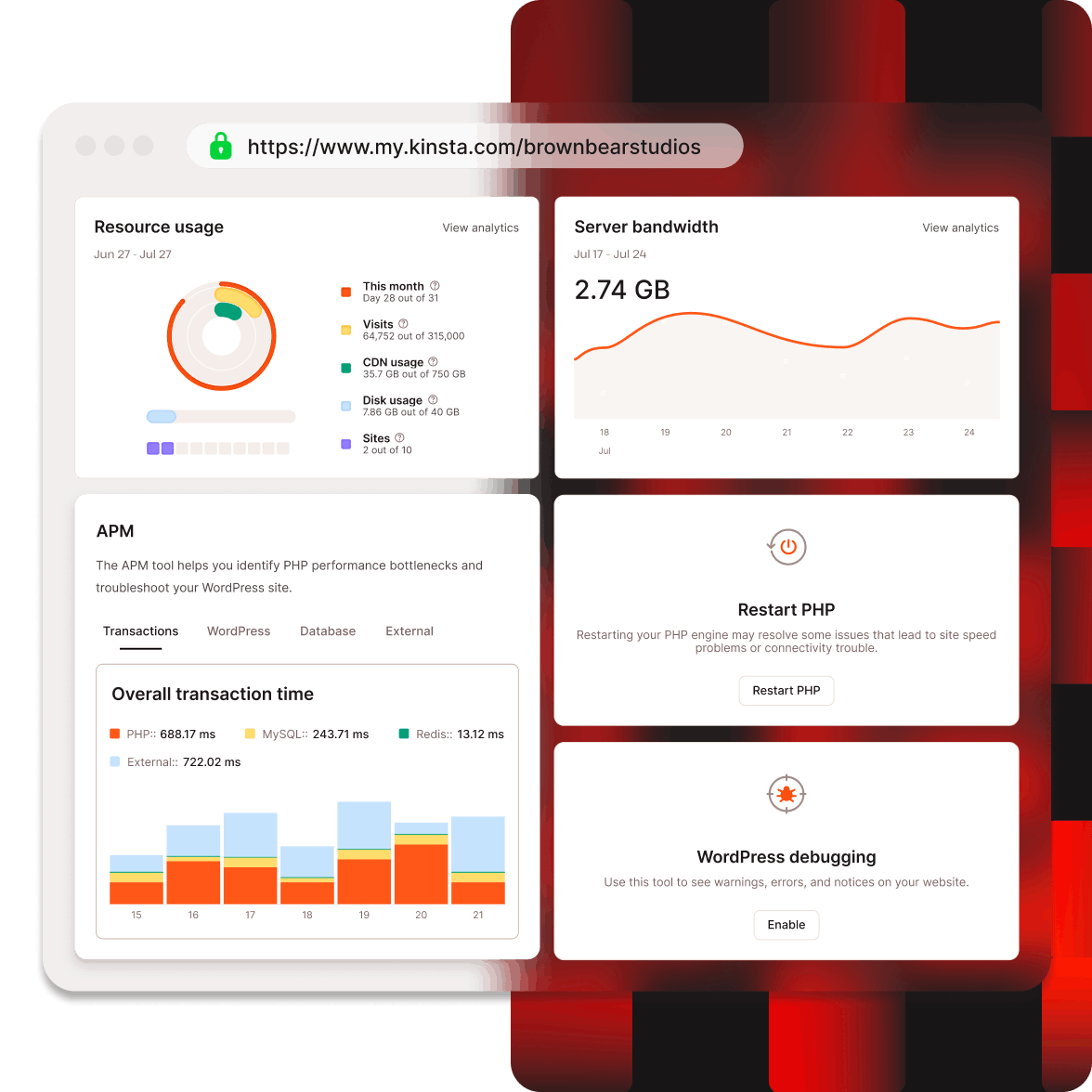 A selection of screenshots showing MyKinsta functionality