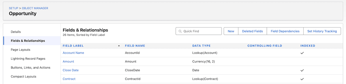 The Fields and Relationship within Salesforce Setup options pages.