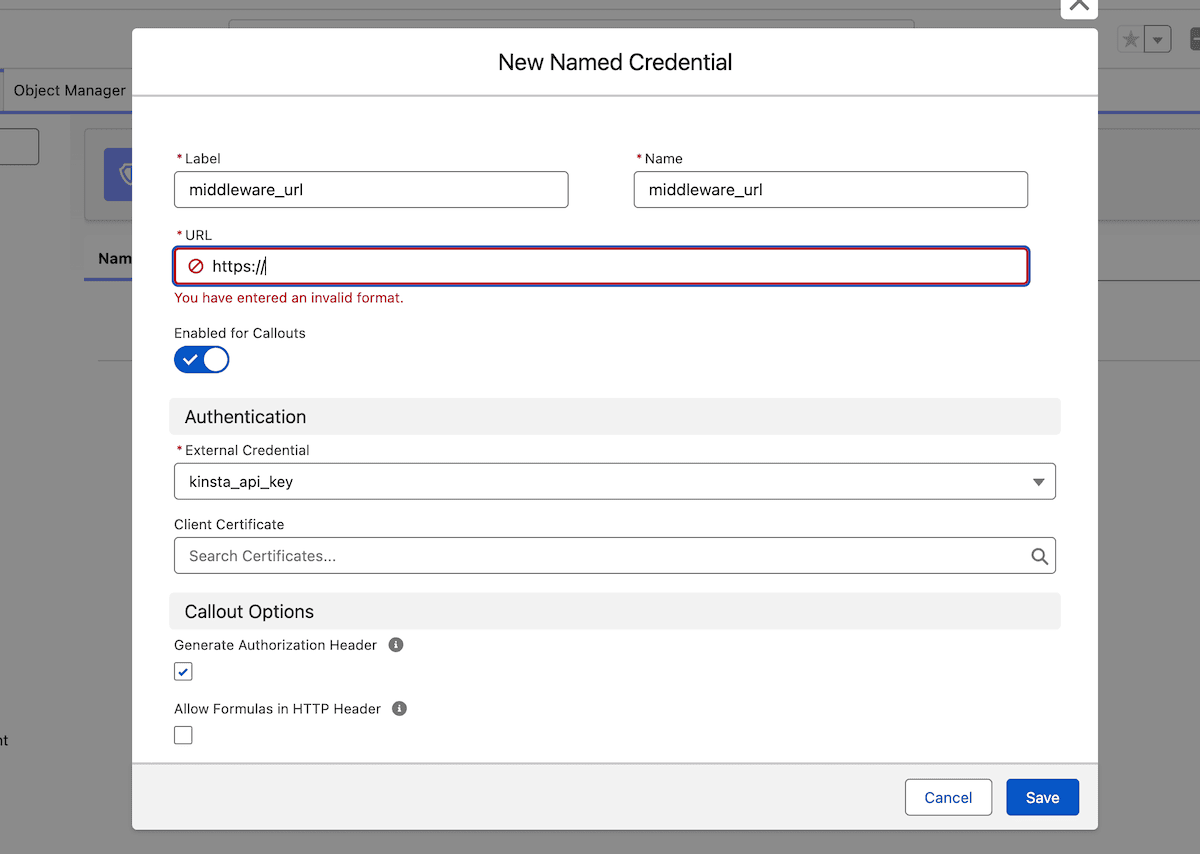 The New Named Credential screen showing a name, label, and URL field along with authentication options.